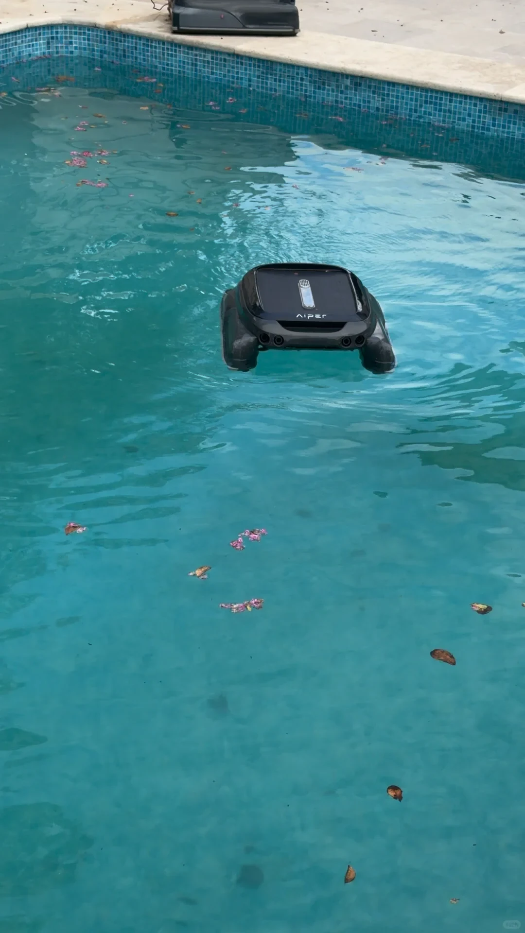 A black Aiper Surfer S1 robotic pool skimmer floating on clear blue swimming pool water dotted with fallen flower petals and leaves, near the tiled edge of the pool.