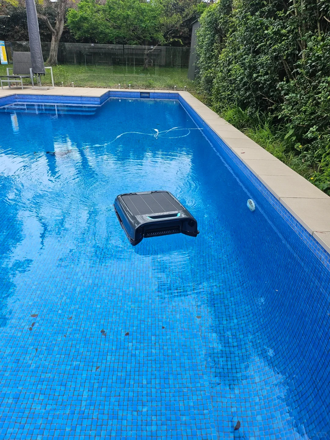 A black robotic solar pool skimmer floats on the surface of a blue mosaic-tiled swimming pool in a backyard surrounded by green foliage.