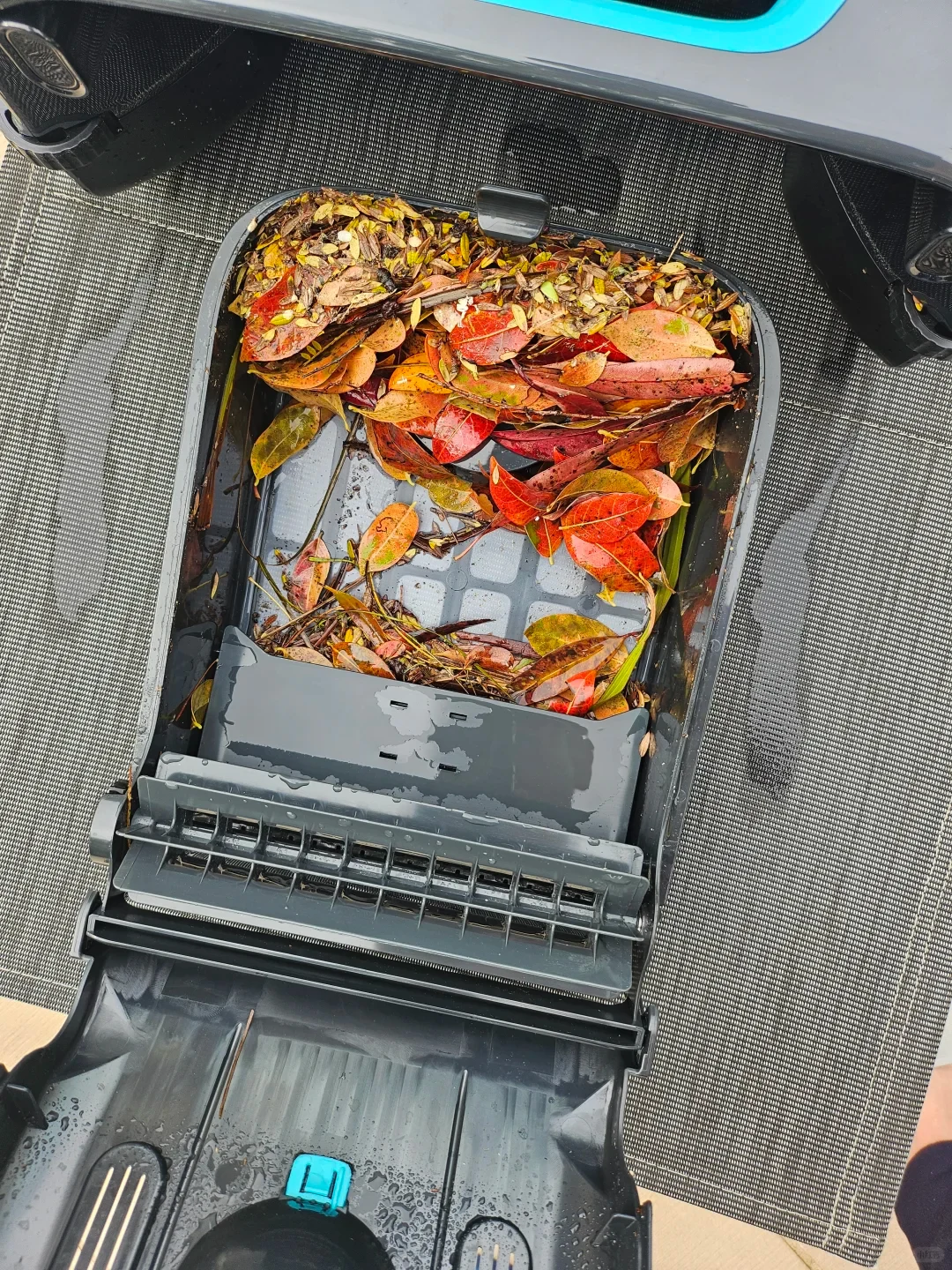 Top-down view of an opened robotic pool cleaner's filter basket filled with wet red and yellow leaves, resting on an outdoor textured grey mat.