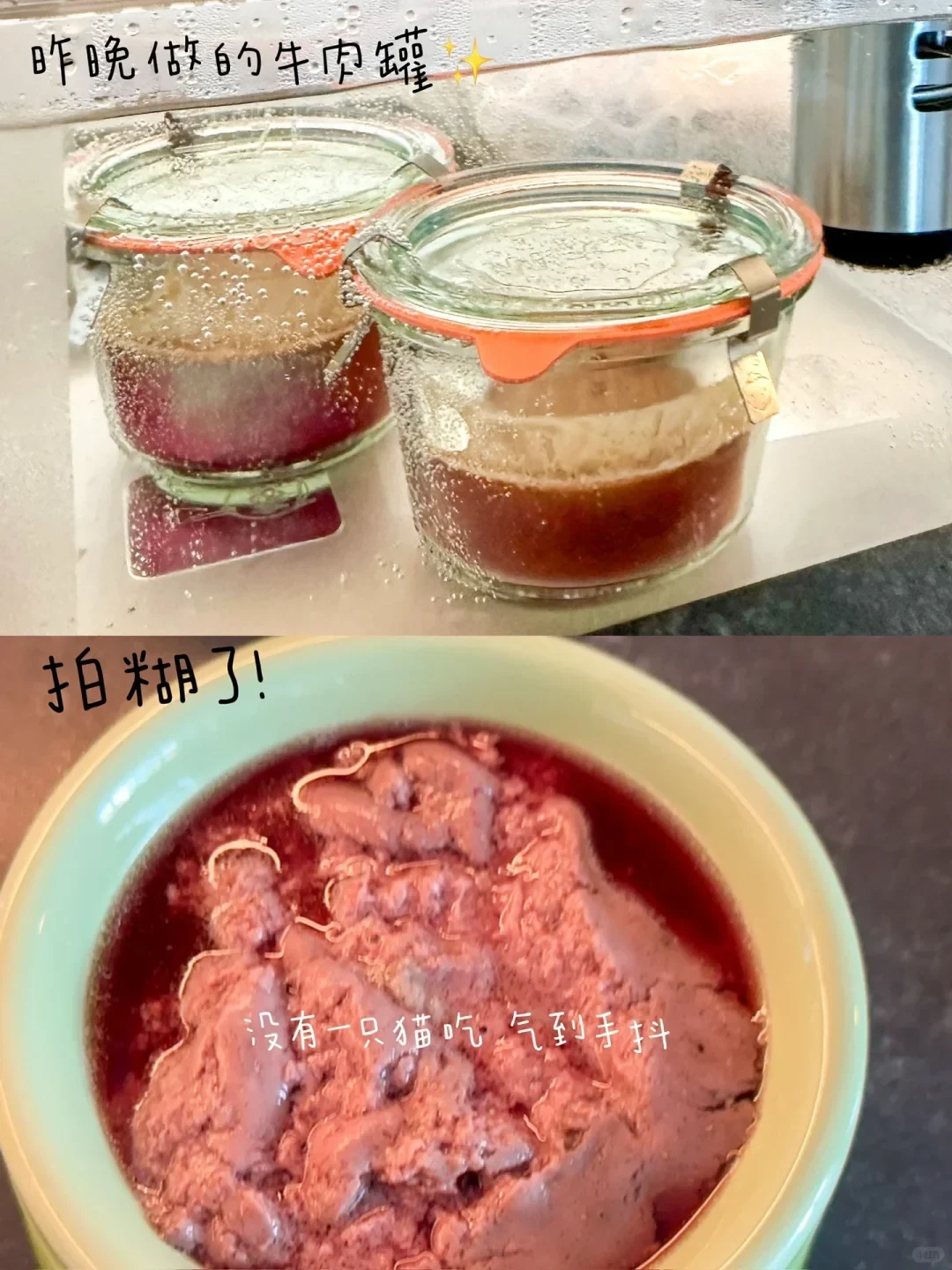 Split photo showing two sealed Weck glass jars submerged in a sous-vide water bath in the top half, and a light green bowl of pink cooked puréed beef cat food in the bottom half.