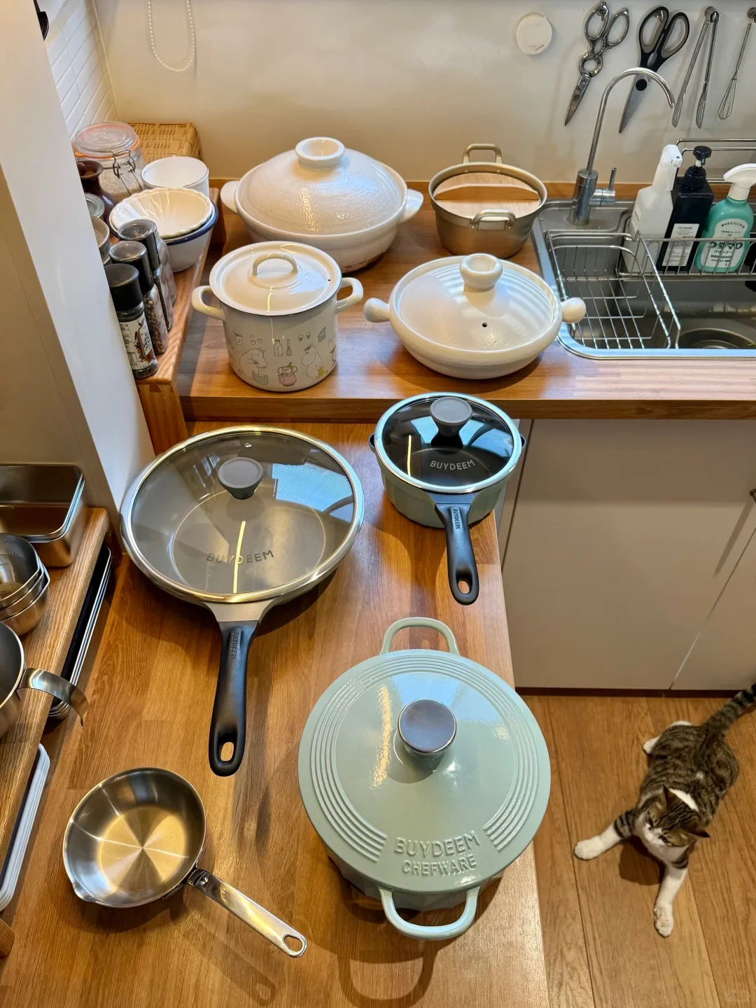 An assortment of cookware arranged on a wooden kitchen countertop, including Buydeem pots and pans, ceramic casseroles, and an enamel pot, with a tabby cat resting on the floor nearby.