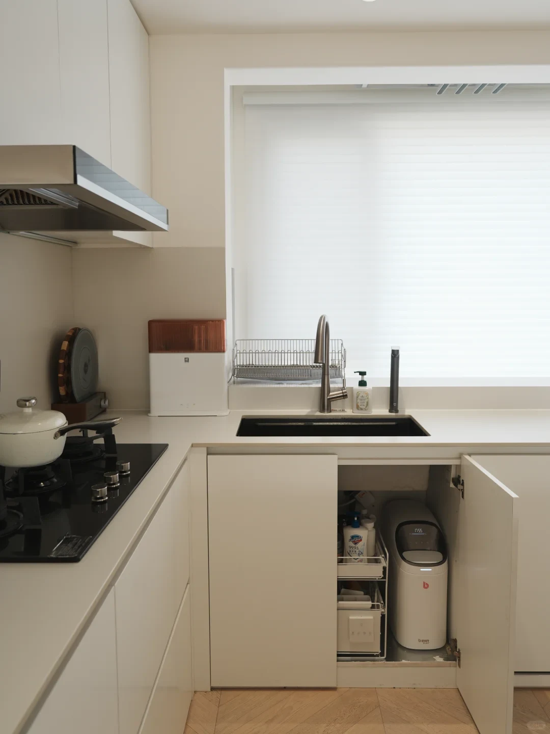 Modern white kitchen featuring an undermount sink and cooktop, with an open cabinet below revealing a pull-out cleaning organizer and a compact water filtration appliance.