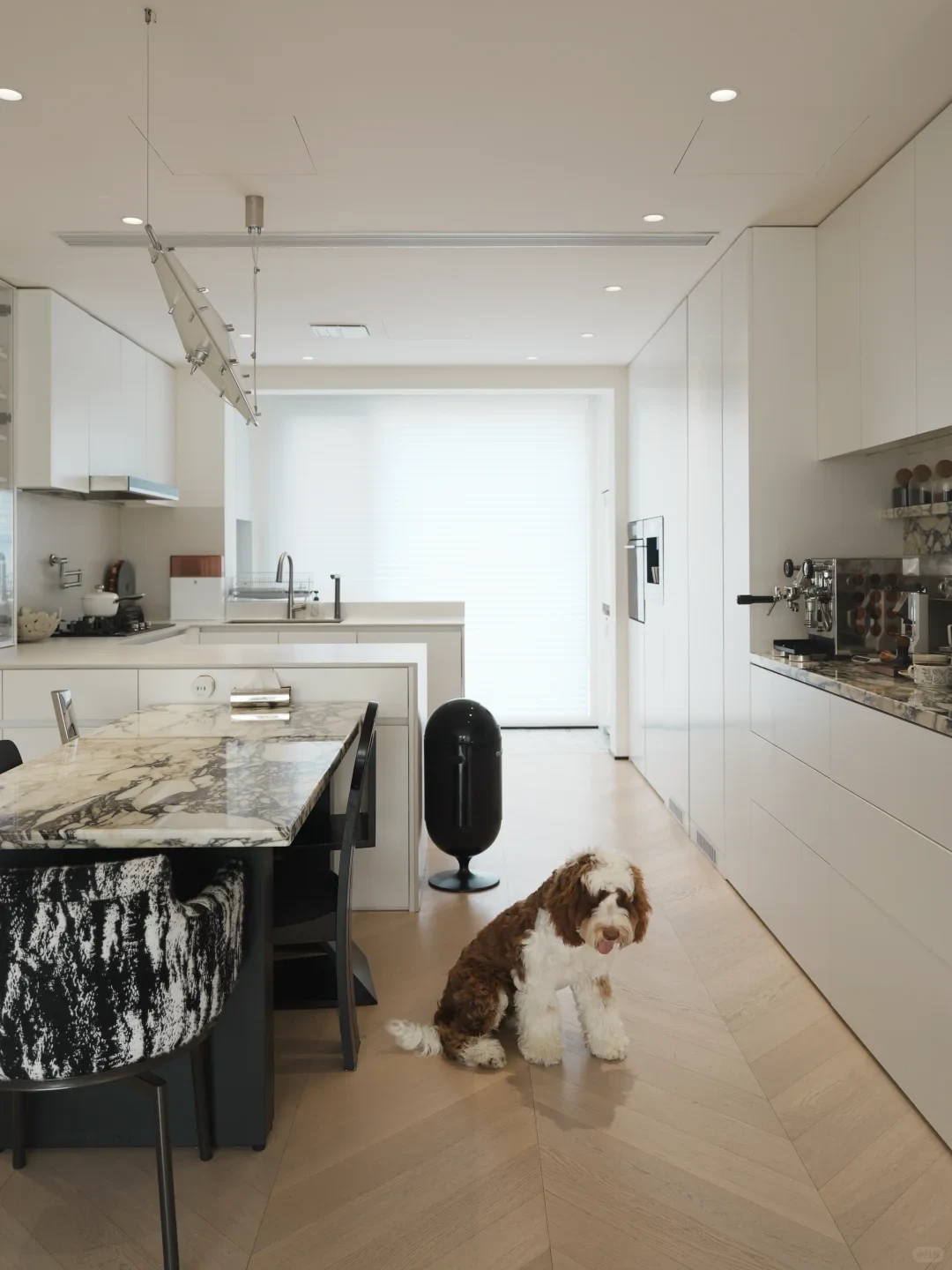 A modern open-concept kitchen and dining area featuring minimalist white cabinetry, light chevron wood flooring, and a marble dining table with patterned upholstered chairs. A brown and white fluffy dog sits on the floor near the kitchen island and a sleek black standing trash bin.