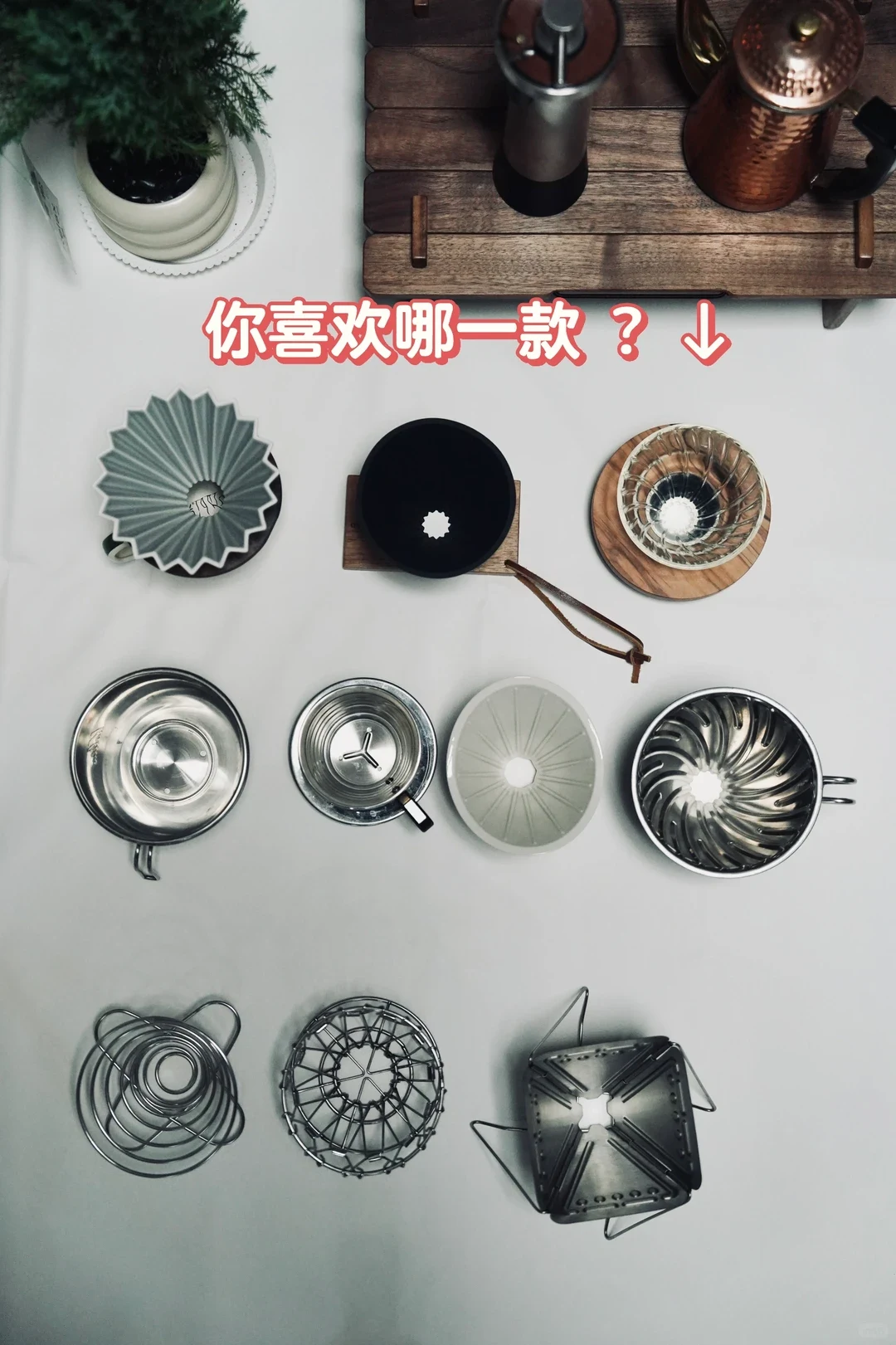 A top-down photo shows an assortment of coffee drippers and brewing accessories arranged on a light surface, with a plant and coffee equipment on a wooden shelf above. Large text asks, “Which one do you like?” with a downward arrow pointing to the items.