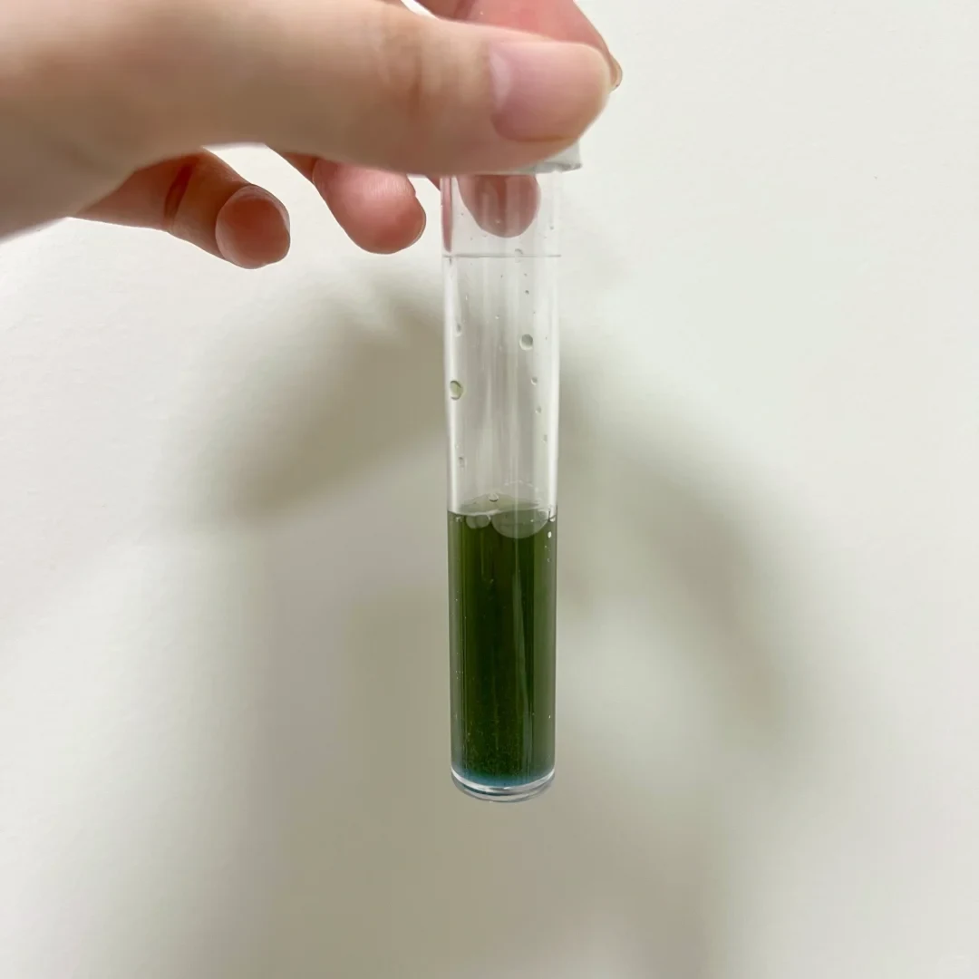 A person's hand holding a clear cylindrical test tube against a plain white background, with the lower half filled with a dark green liquid with a slight blue rim at the bottom.