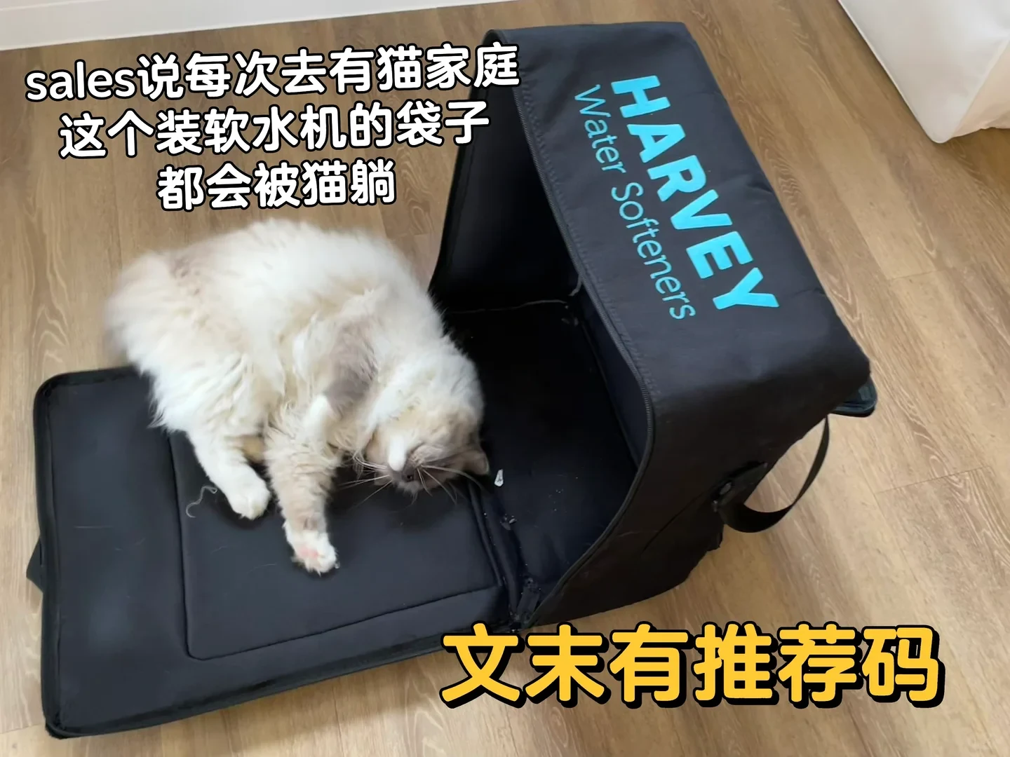A fluffy, light-colored cat lies relaxed inside the unzipped flap of a large black bag branded 'HARVEY Water Softeners' on a light wood floor.