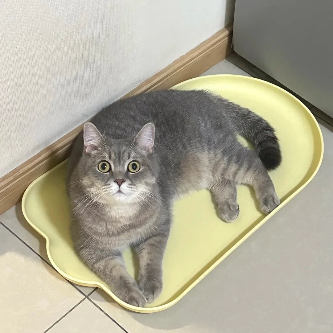 A grey tabby cat lying inside a pale yellow tray on a tiled floor, looking up at the camera with wide eyes.