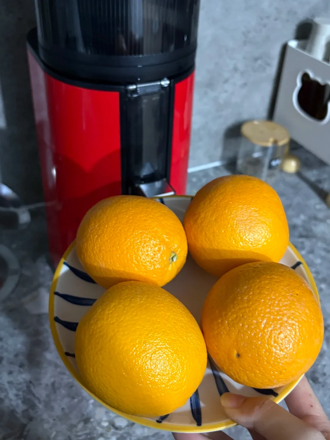 A hand holds a patterned plate with four oranges in front of a red-and-black countertop appliance.