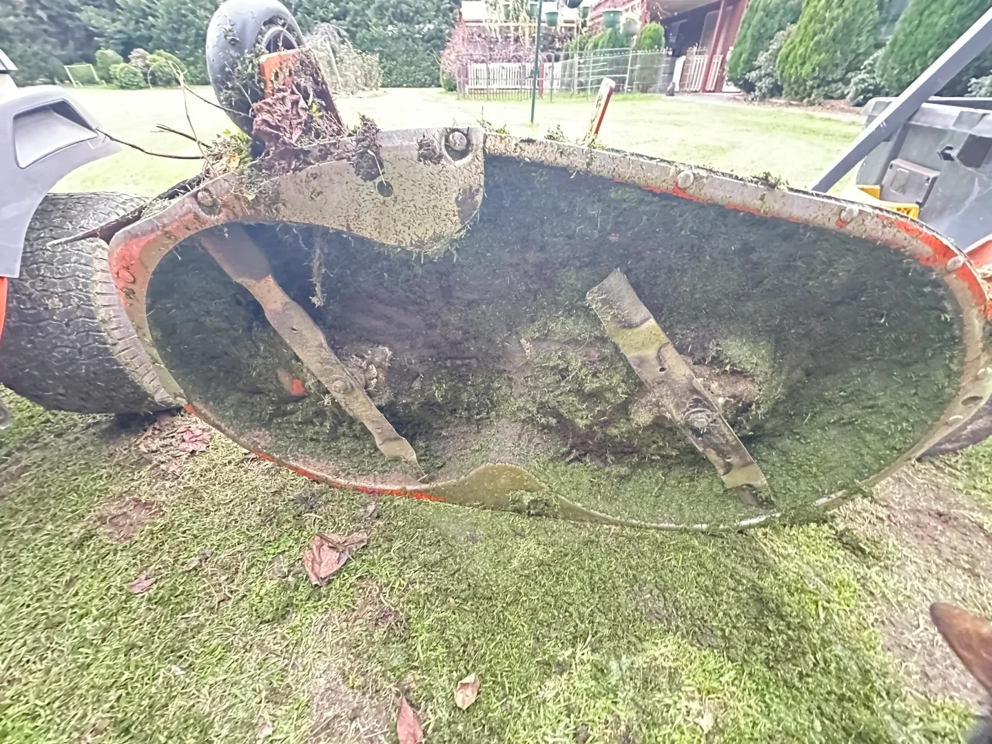 Underside of a tilted lawn mower deck resting on a grassy lawn, showing two cutting blades covered in thick grass clippings and debris.