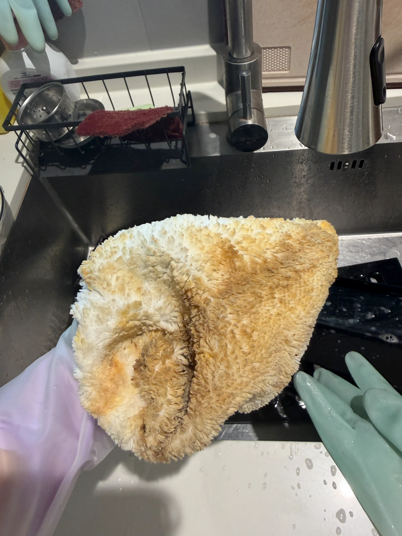 A cloth stained with grease after cleaning the extractor hood.