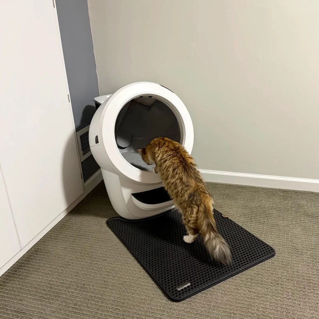 A fluffy long-haired domestic cat stands on a black litter-trapping mat and pokes its head into the round opening of a white Litter-Robot 4 automatic litter box placed on carpet.