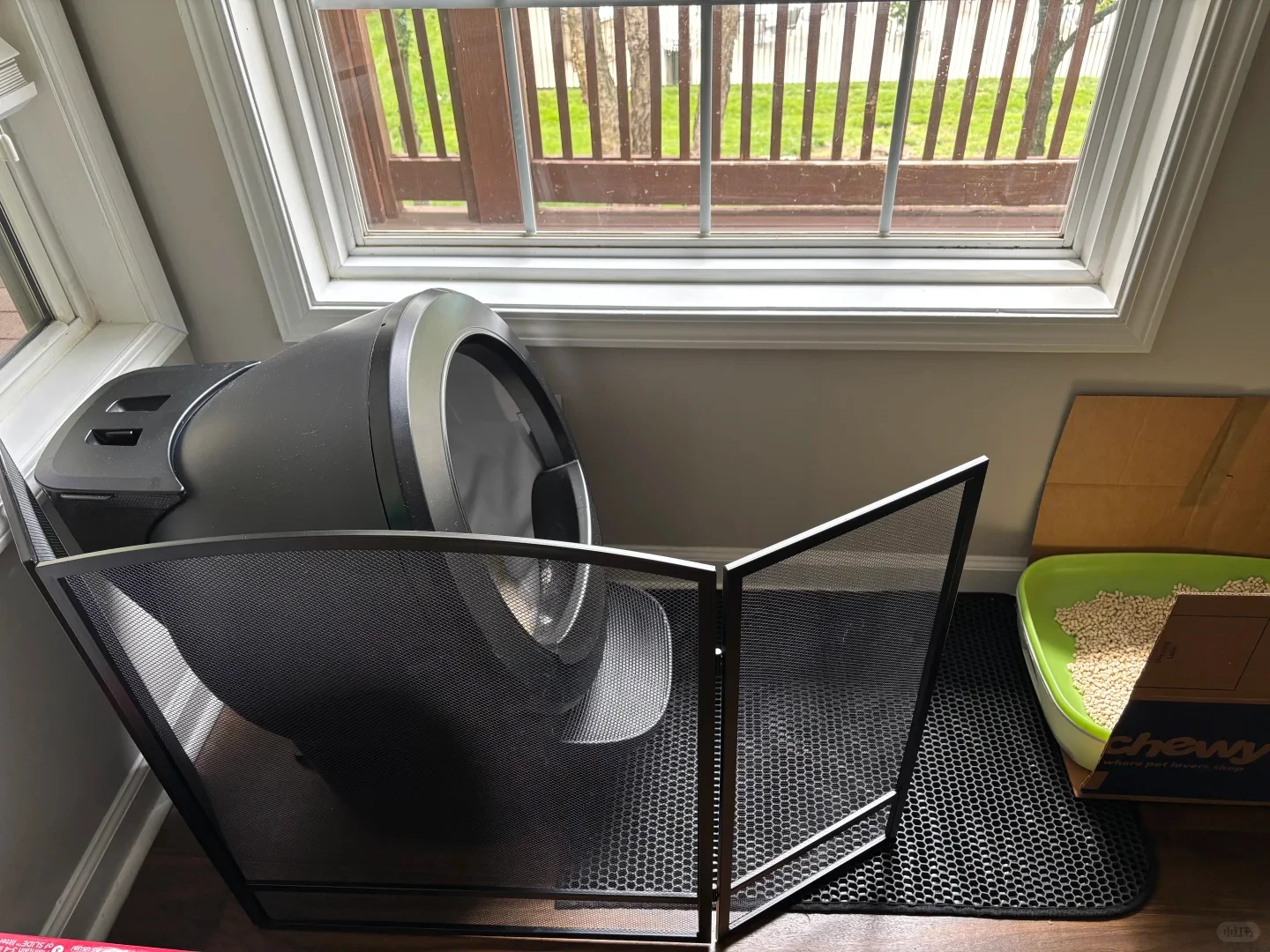 Black Litter-Robot 4 positioned near a window on a honeycomb litter mat, partially enclosed by a black mesh fireplace screen, next to an open green backup litter box.