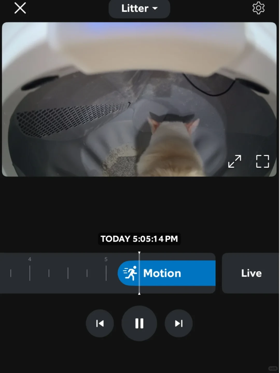 A mobile app screen showing playback from an automatic litter box camera. Inside the rounded chamber, a light-colored cat is visible from behind. Beneath the video feed is a timeline showing an event marked "Motion" at 5:05:14 PM, along with playback buttons and a "Live" button.