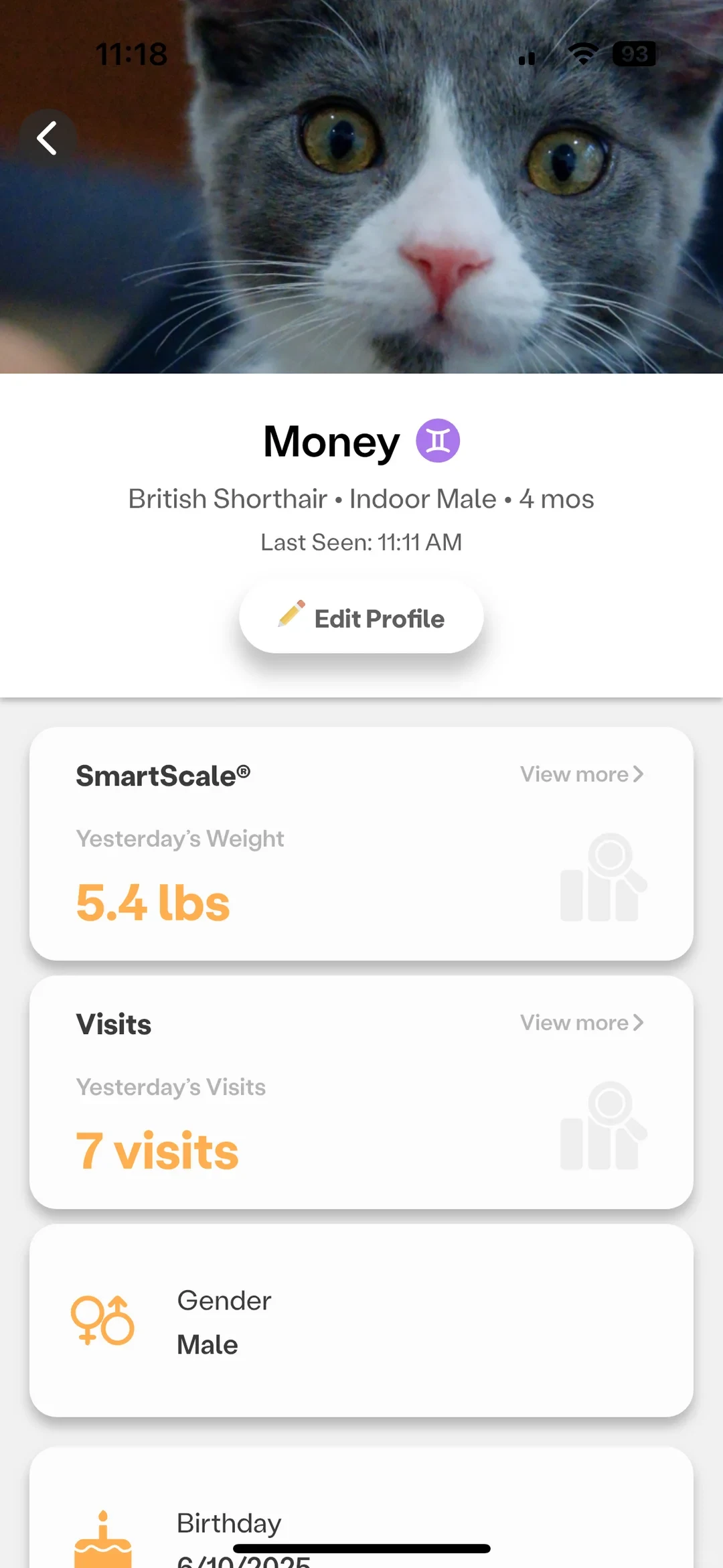 A screenshot of the Whisker companion app displaying the profile for a grey-and-white British Shorthair kitten named Money, showing tracked statistics including 5.4 pounds for yesterday's weight and 7 visits.