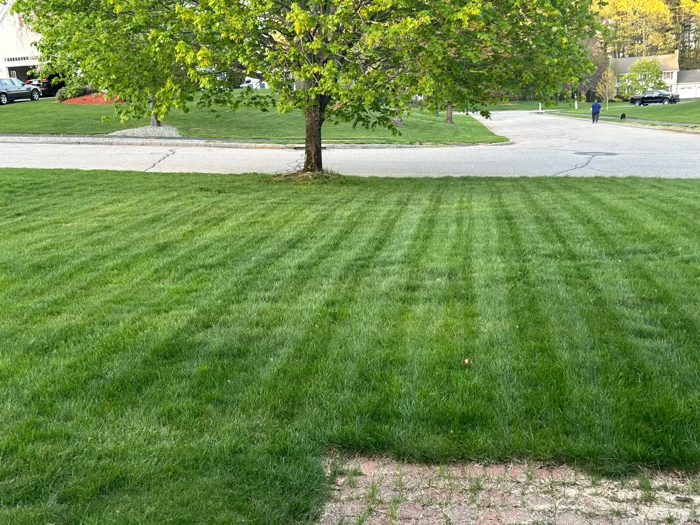 A freshly mowed green front lawn displays prominent mowing stripes across the grass. In the background, a residential street curves past houses, with a tree by the curb and a person walking in the distance.