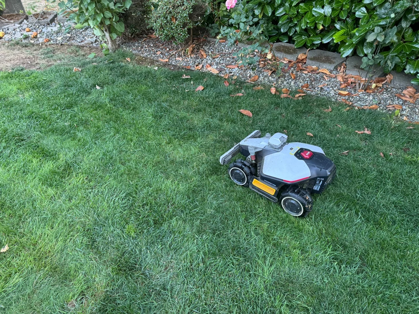 A robotic lawn mower with four rugged all-terrain wheels driving across a green grassy yard next to a pebble garden border and bushes.