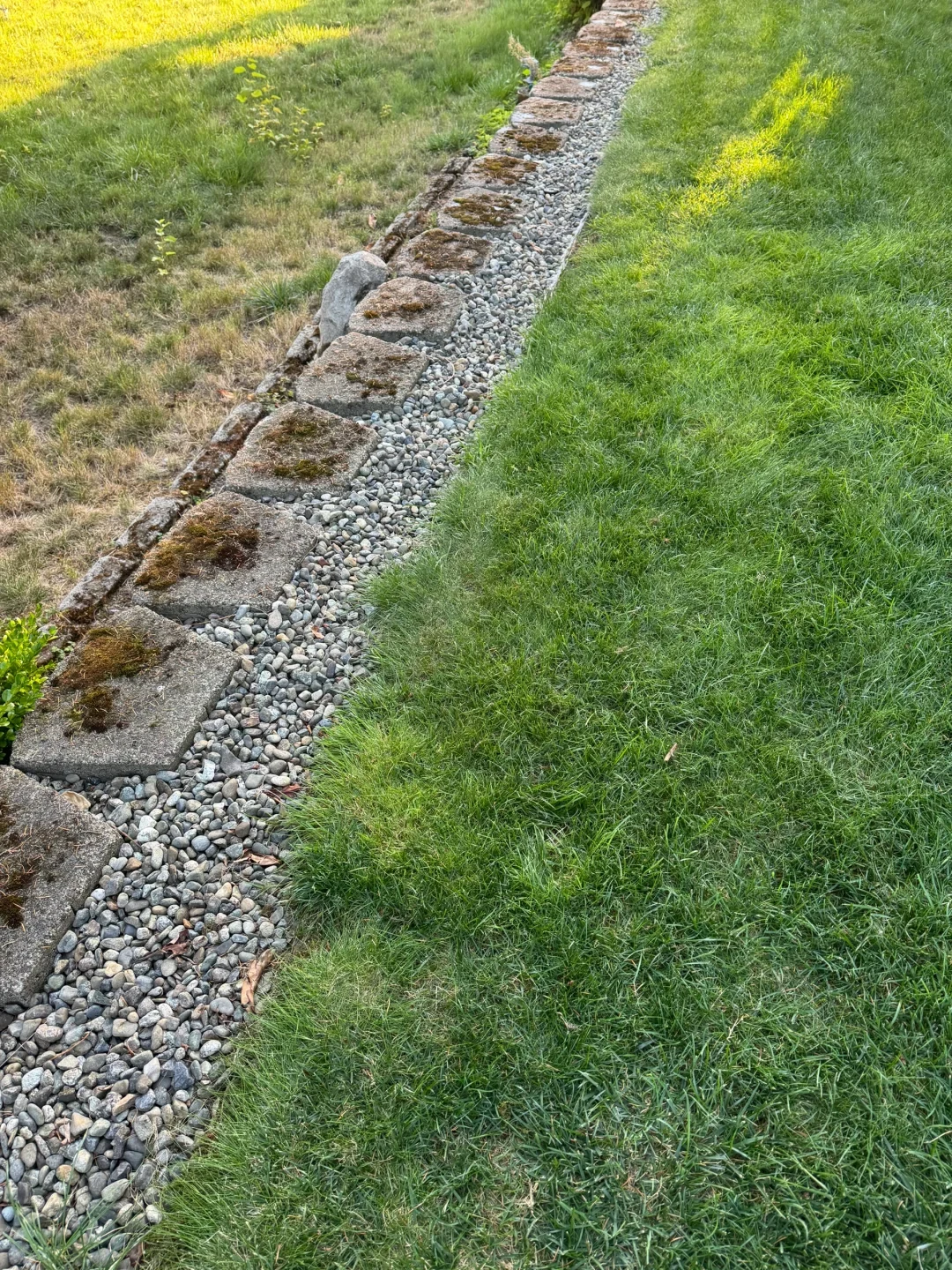 A garden border featuring a row of square stone pavers lined with small gray pebbles, separating a patch of dry grass on the left from a lush green lawn on the right.