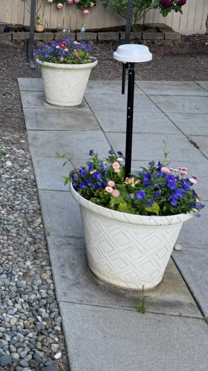 A white circular RTK antenna mounted on a black pole planted inside a large white flower pot filled with purple and pink flowers on a paved patio.