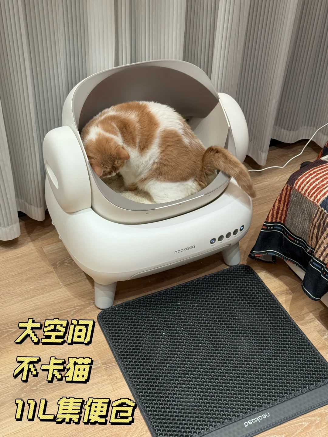 An orange and white cat sits inside a white Neakasa automatic self-cleaning cat litter box on a light wood floor next to a black litter trapping mat.