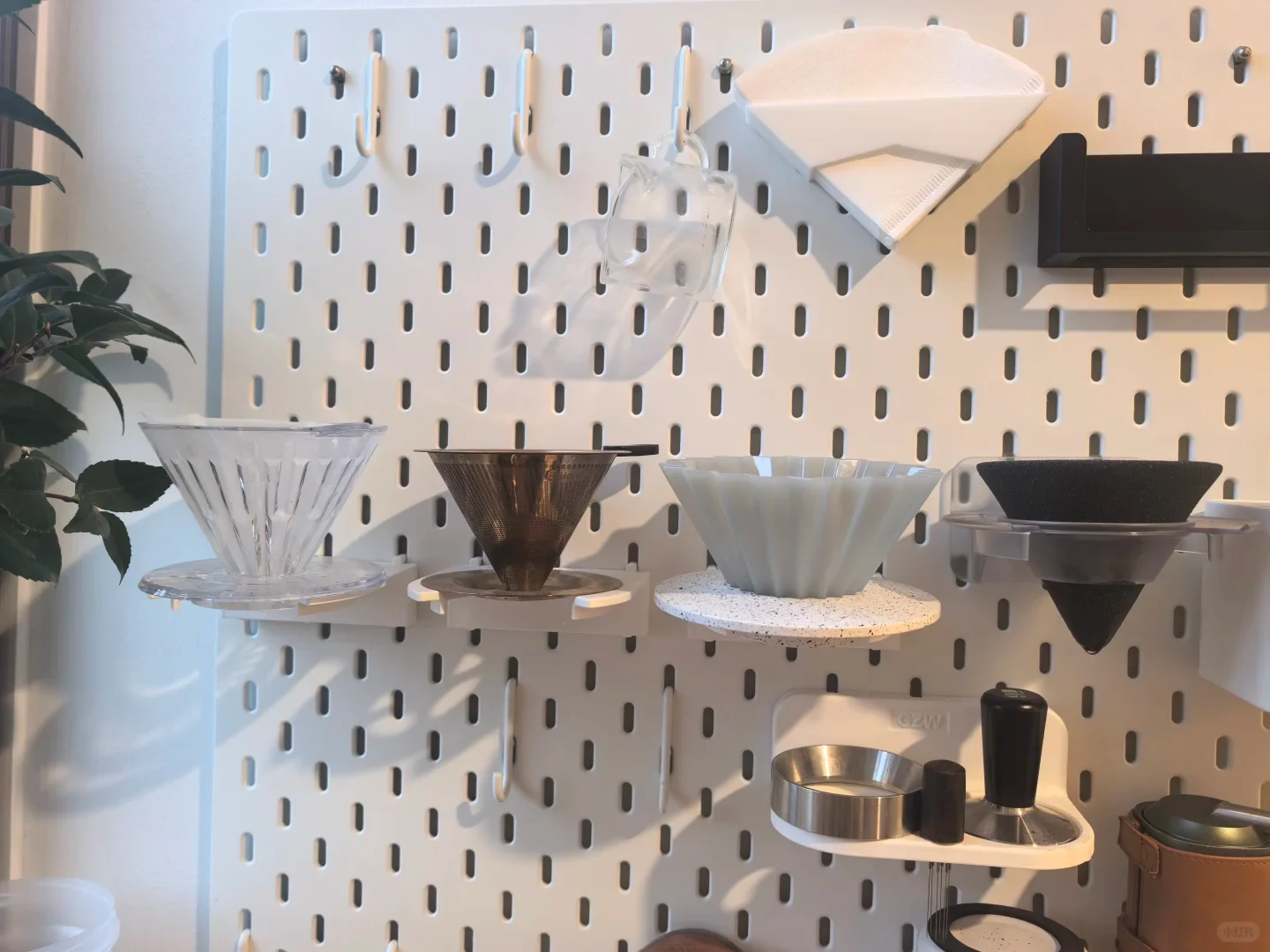 Coffee drippers, paper filters and a clear cup hang on a white pegboard, with metal coffee tools on shelves and a leafy plant at the left.