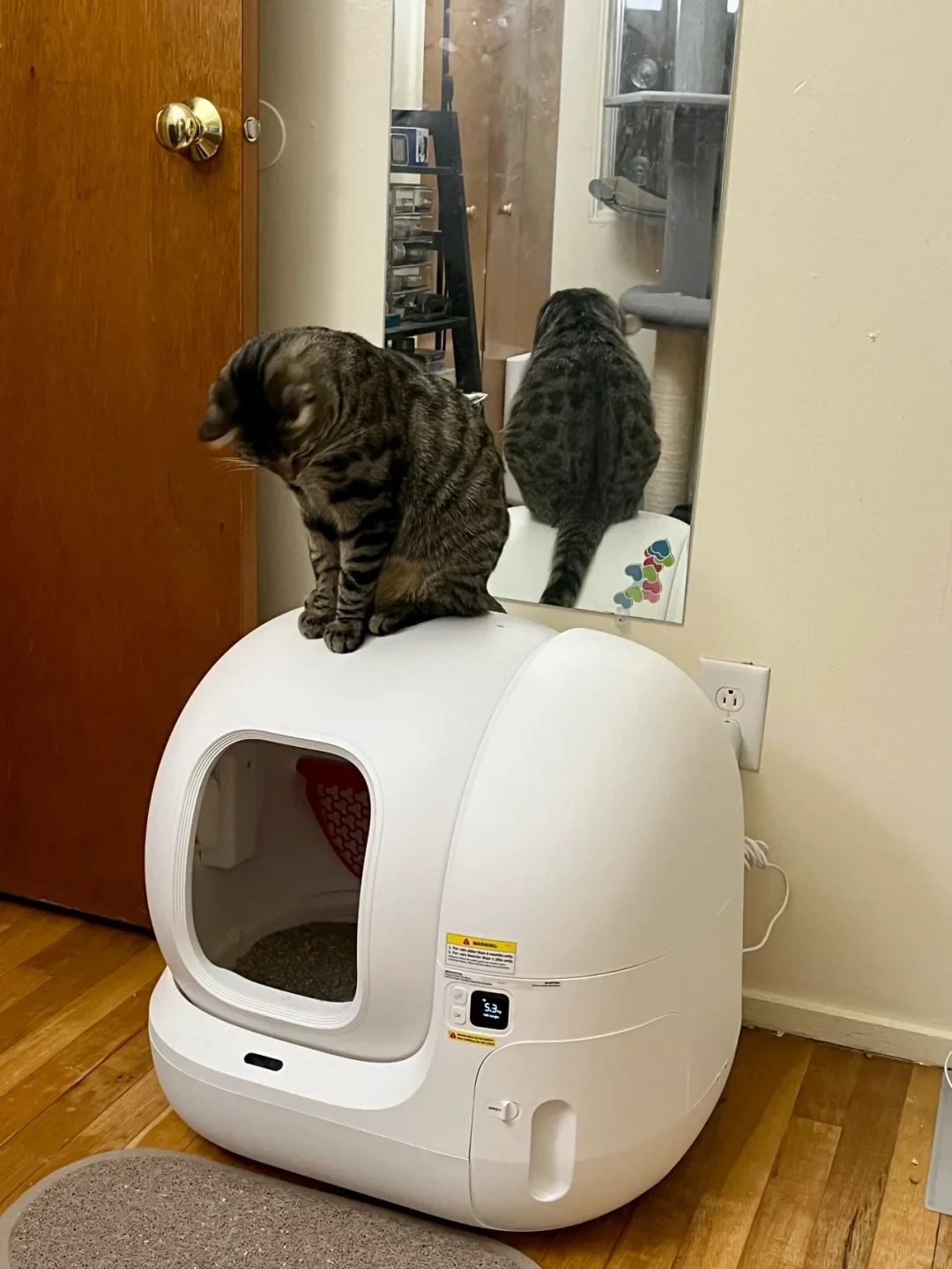 A brown tabby cat sits on top of a large, enclosed white automatic litter box in a room with hardwood floors. Behind the cat, a wall-mounted mirror reflects its back, while a wooden door is visible to the left.