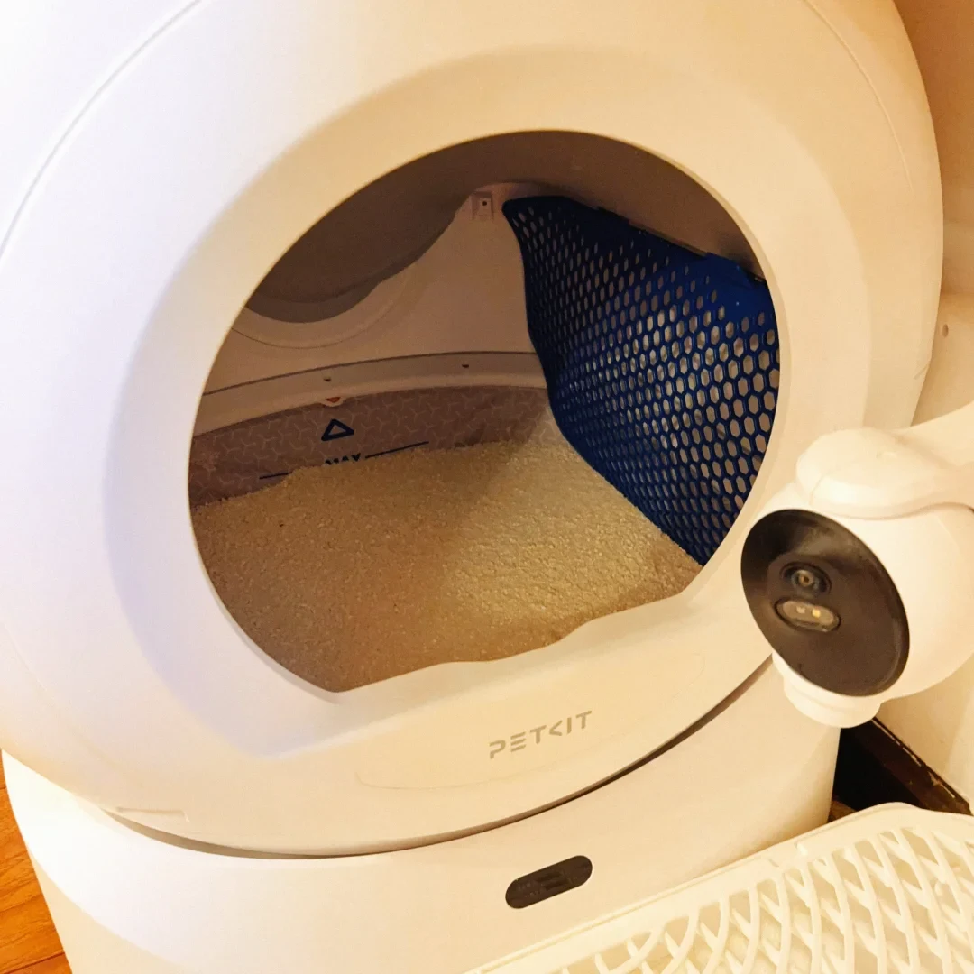 Close view of a white PETKIT Ultra automatic cat litter box with its globe filled with litter, a blue sifting screen inside, a side-mounted camera, and a white lattice litter-control board in the foreground.