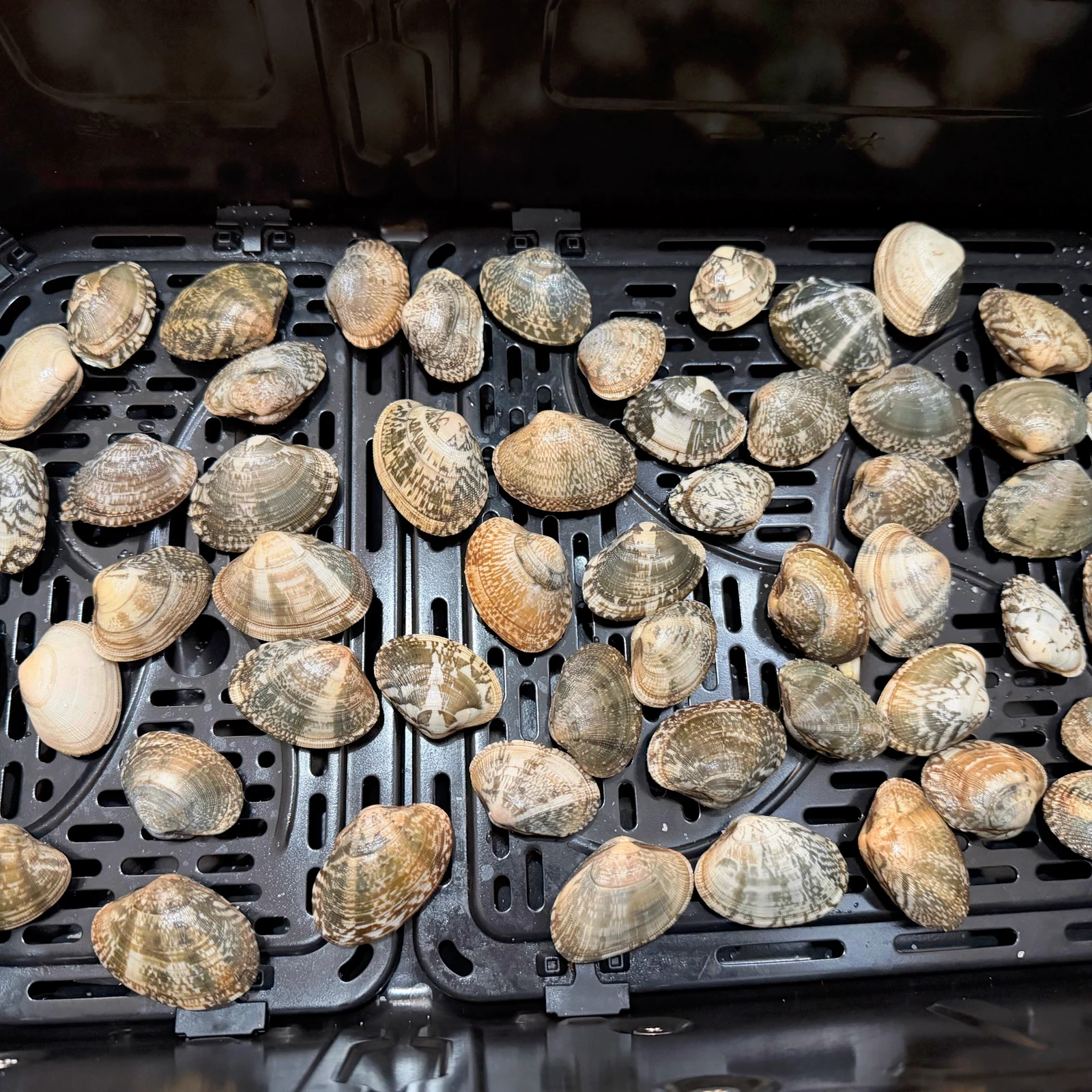 Clams laid in one layer in the cooking basket.