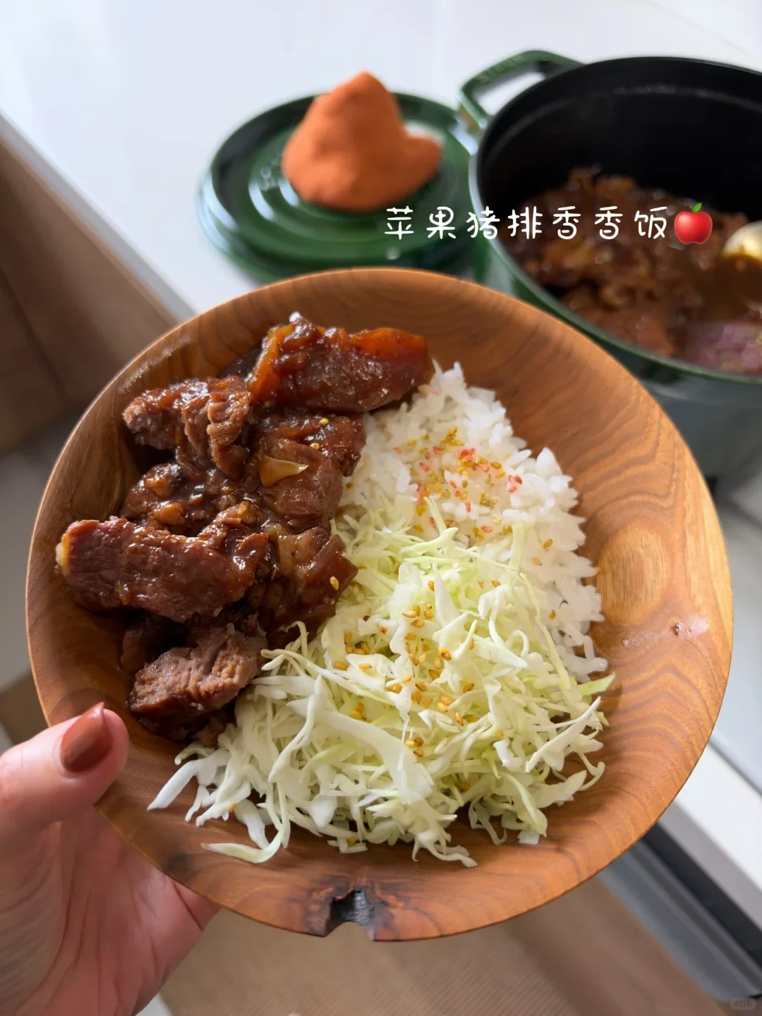 A bowl of braised pork, shredded cabbage and rice held in front of a green cocotte.