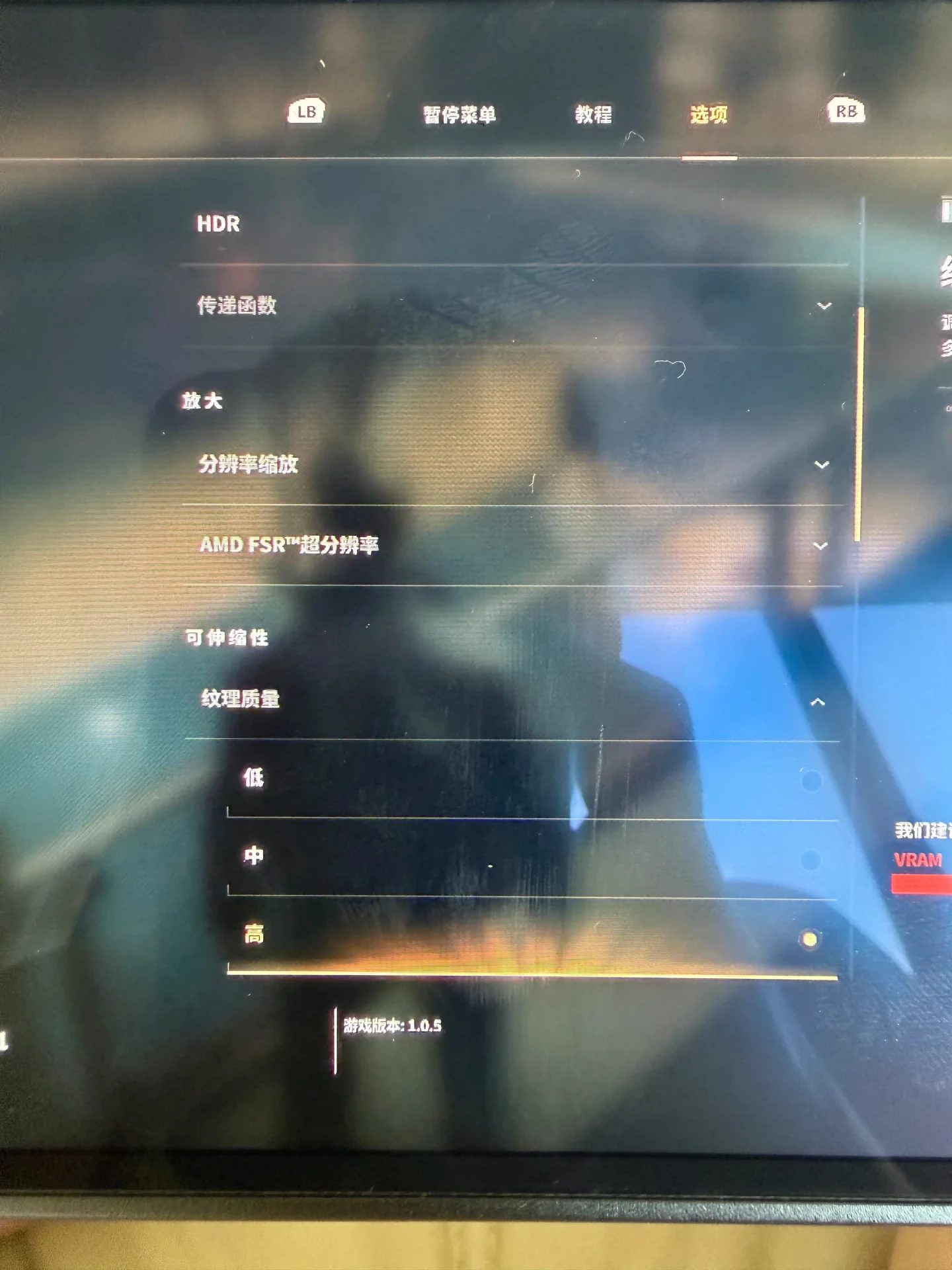 A photograph of a video game settings menu displayed on a monitor with visible reflections, showing graphics options in Simplified Chinese.