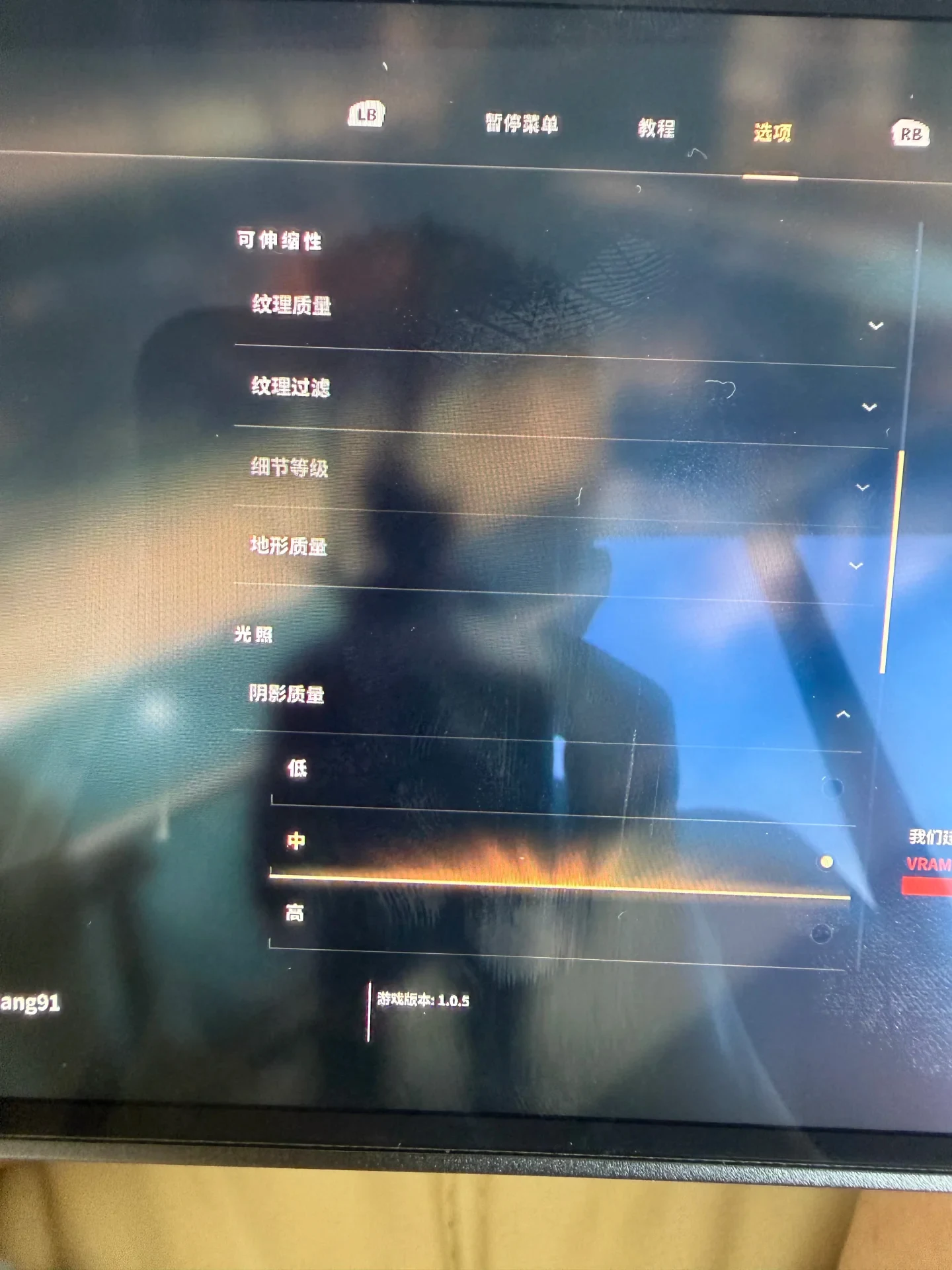 Screen showing a video game graphics settings menu in Chinese with options for texture quality, shadows, and other graphical parameters.