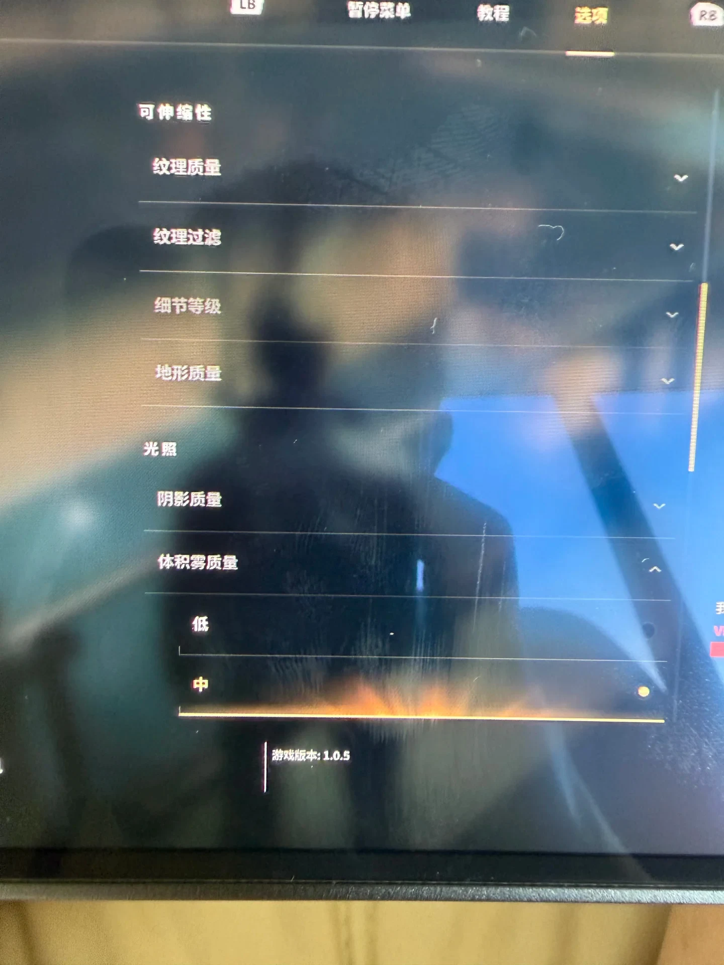 A photo of a screen displaying an in-game graphics settings menu in Chinese with various video adjustment options.