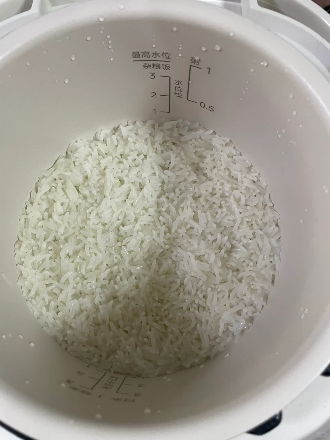 Cooked white rice inside the white inner pot of a rice cooker, showing interior water level indicators.
