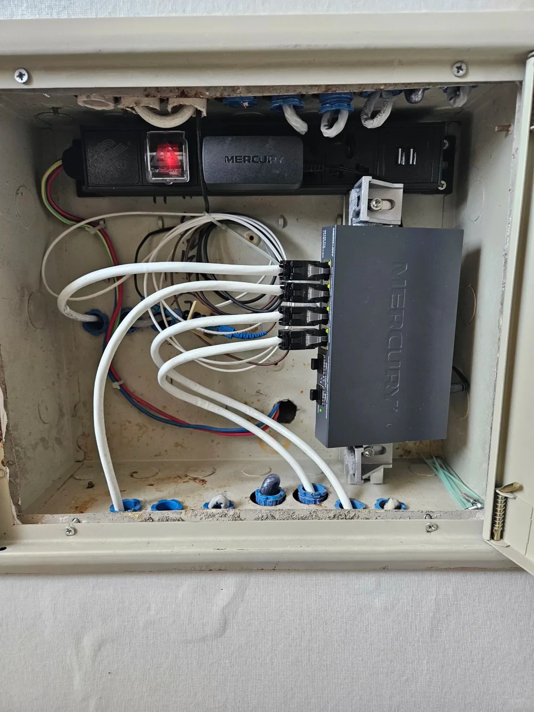 An open network distribution cabinet with a Mercury device, a power strip, and several white Ethernet cables connected to a mounted switch or patch panel.