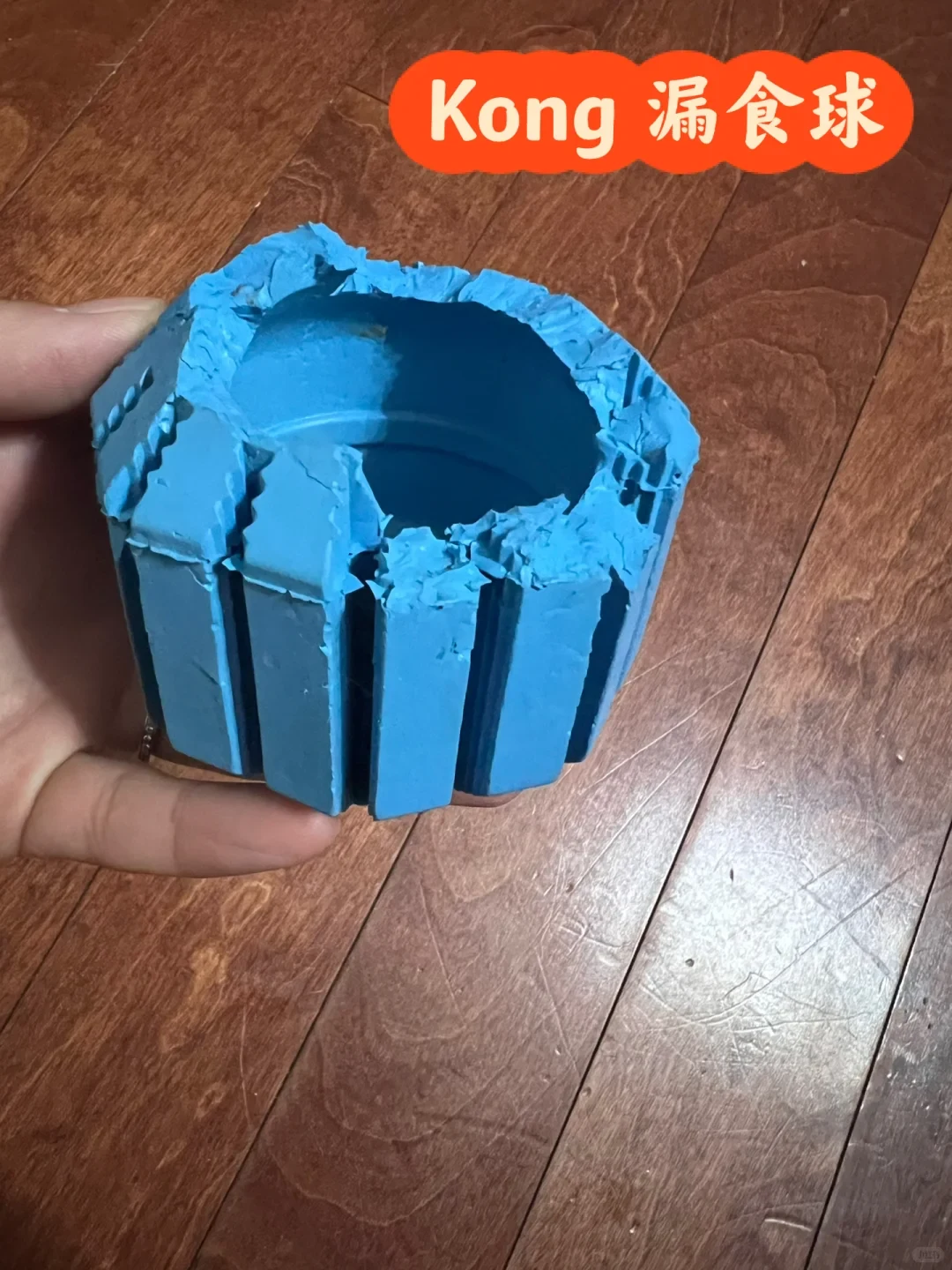 A hand holds a heavily chewed and damaged bright blue rubber dog toy over a wooden floor, with an orange label in the upper right reading 'Kong 漏食球'.